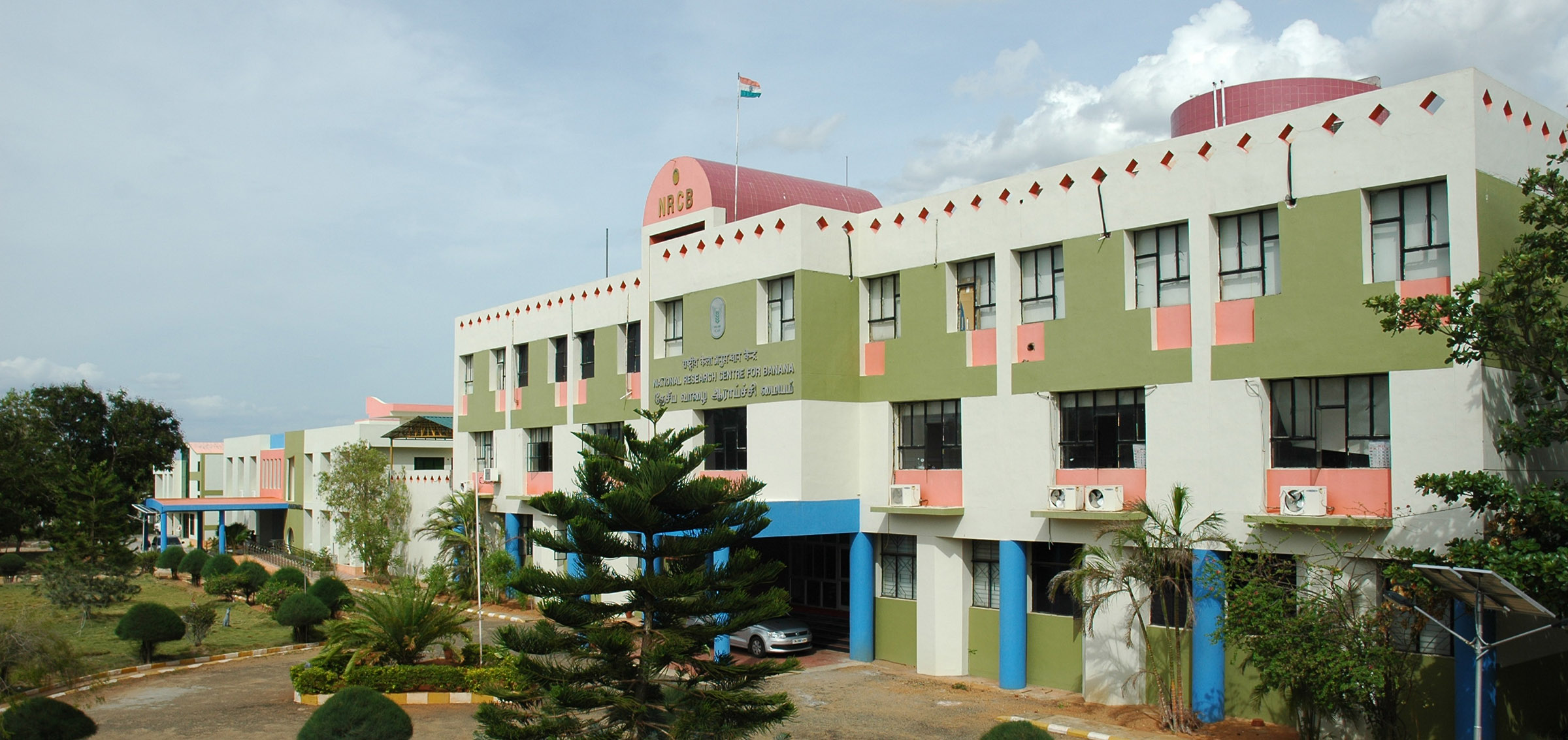 ICAR-NRCB Institute